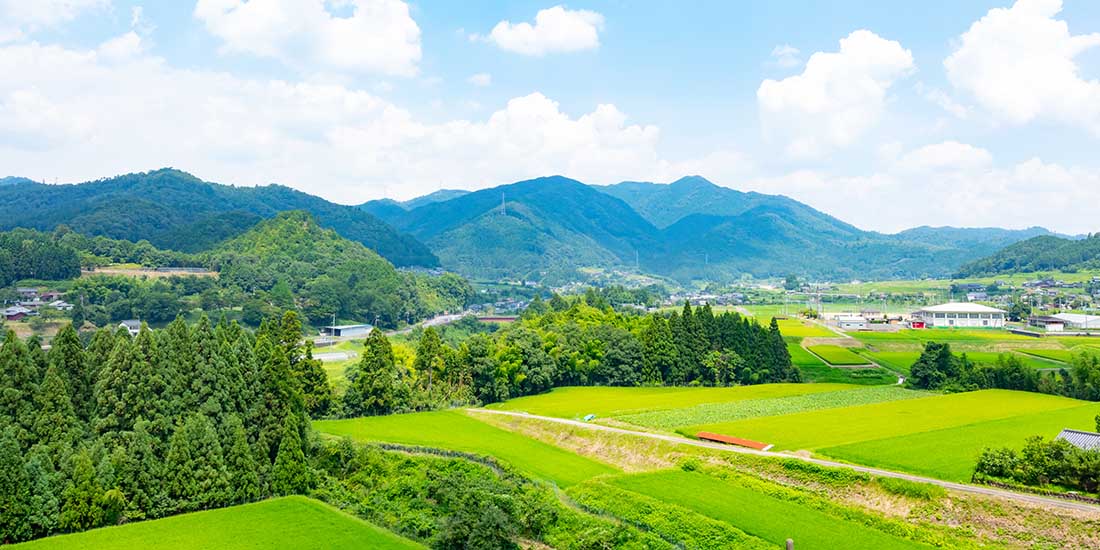 京丹波エリア風景
