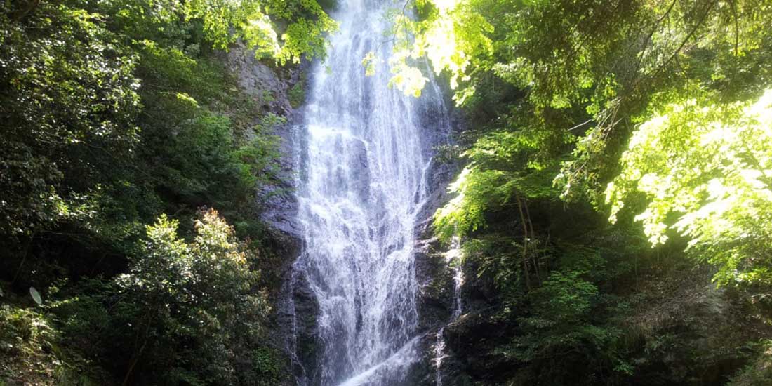 京丹波エリア　琴滝